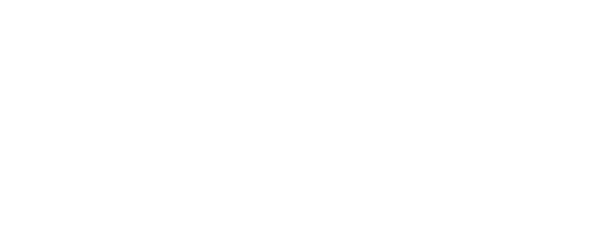 Zarfix